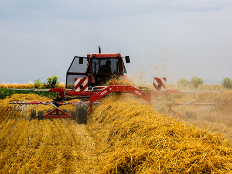 ÜRÜNLER OT TOPLAMA